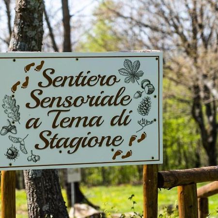 Villaggio Anemone - Chalet Anemone Capanne di Sillano Exterior foto